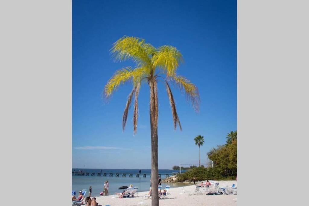 Little Harbor Resort #206 Tampa Bay Fl Beach, Bayview, 2 Pools Ruskin Extérieur photo